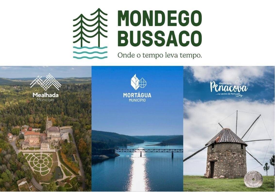 Mimosa Village - Turismo De Natureza 莫尔塔瓜 外观 照片